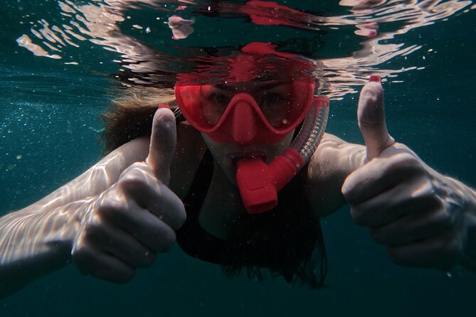 Snorkeling with turtles in Fujairah with Transfer & BBQ lunch - What you may see beneath the surface