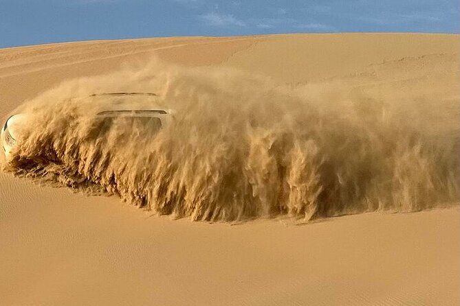 Sunrise Safari in Abu Dhabi's Desert - Who should book this morning?