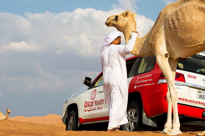 Sunset Camel Trekking with Falcon Show & VIP BBQ Dinner - Key points before you book