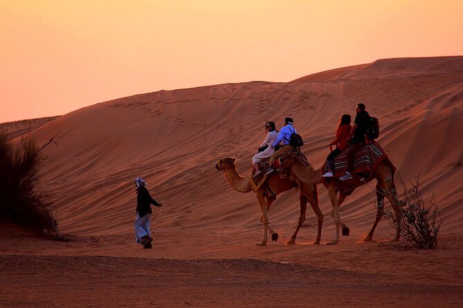 Sunset Evening Safari,Camel ride,live shows and BBQ Dinner with No Hidden Charge - Lahbab Red Dunes and 30 Minutes of Dune Bashing