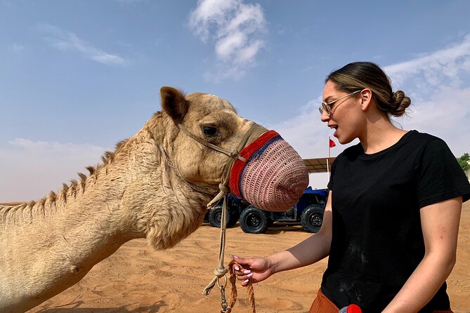 Sunset Quad/Buggy Tour & BBQ Evening - A short camel ride with a traditional touch
