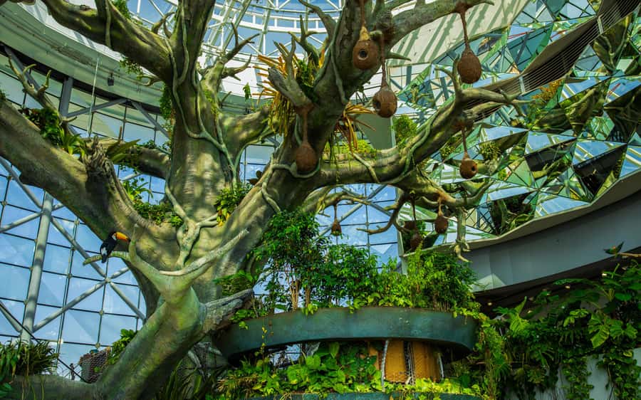 The Green Planet - Dubai's Unique Indoor Rainforest - Key things to know before visiting