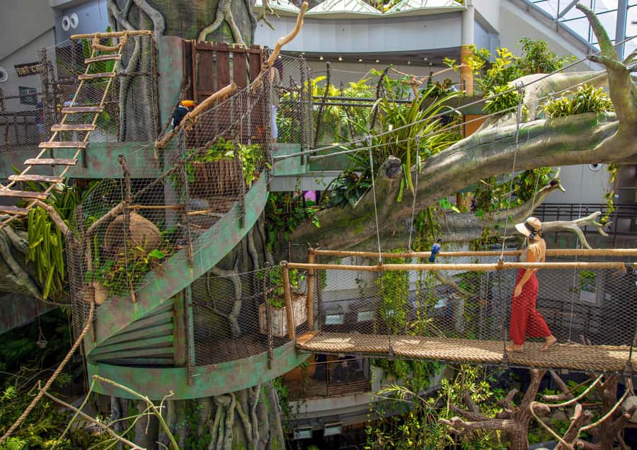 The Green Planet - Dubai's Unique Indoor Rainforest - Sloths, monkeys, birds, and reptiles up close