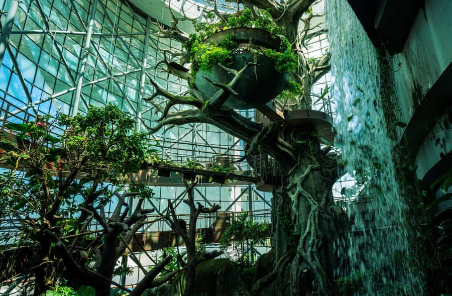The Green Planet - Dubai's Unique Indoor Rainforest - The indoor storm is more than a sound effect