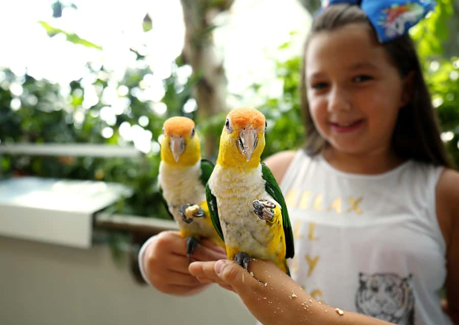 The Green Planet - Dubai's Unique Indoor Rainforest - How much time should you allow?