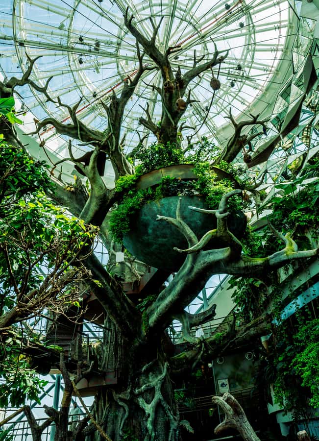 The Green Planet - Dubai's Unique Indoor Rainforest - Practical booking advice for City Walk
