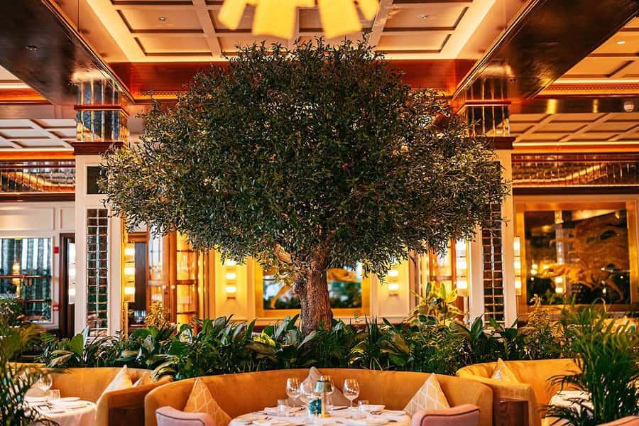 The View Fast Track with an Italian Lunch at Signor Sassi - What the $88 price really includes
