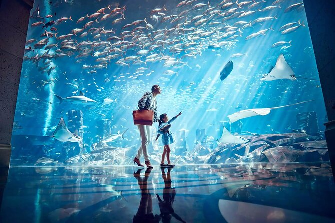 Ticket to Atlantis Aquaventure Waterpark & Combo - Getting to Atlantis The Palm