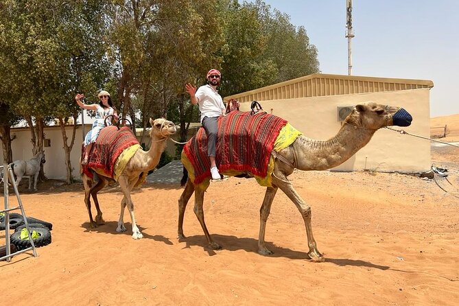 Vip Desert Safari Dubai with Camel Riding BBQ Dinner & Live Shows - Dinner under the desert sky