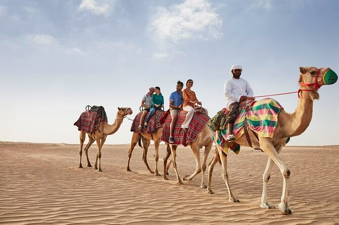 VIP Dubai Sunset Desert Safari: Camel Ride, BBQ, Unlimited Spirit - Stargazing before the return to Dubai