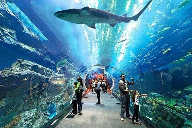 VIP Experience Dubai Aquarium & Underwater Zoo-As per Selection - VIP activities: check what your selection includes